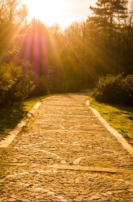 Accompagnement avec TY Coaching